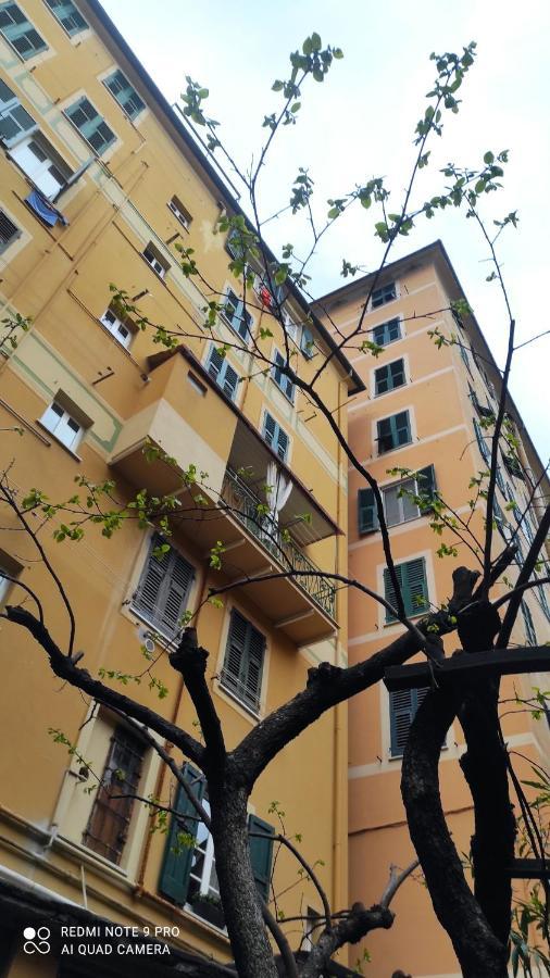 Apartamento La Nina Camogli Exterior foto